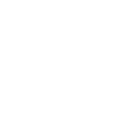 Design System Animation